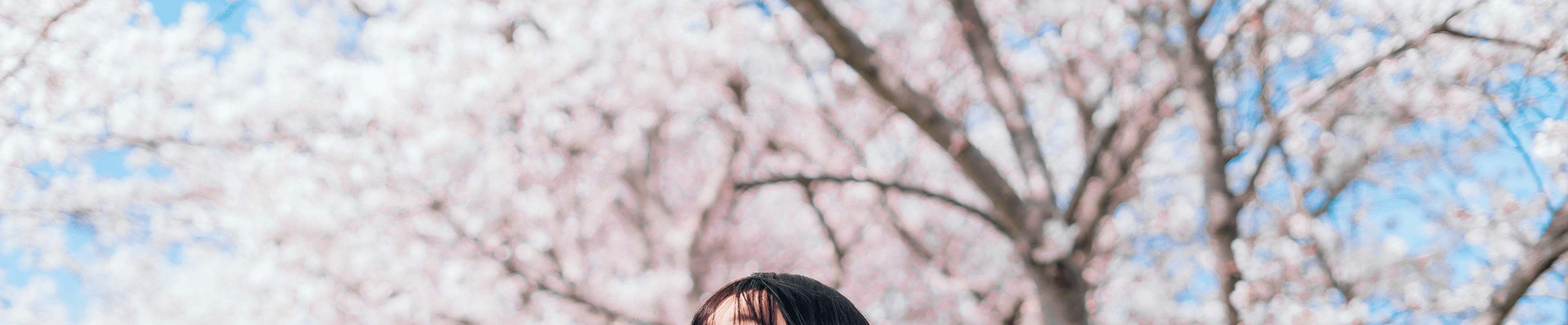 青空と桜の写真