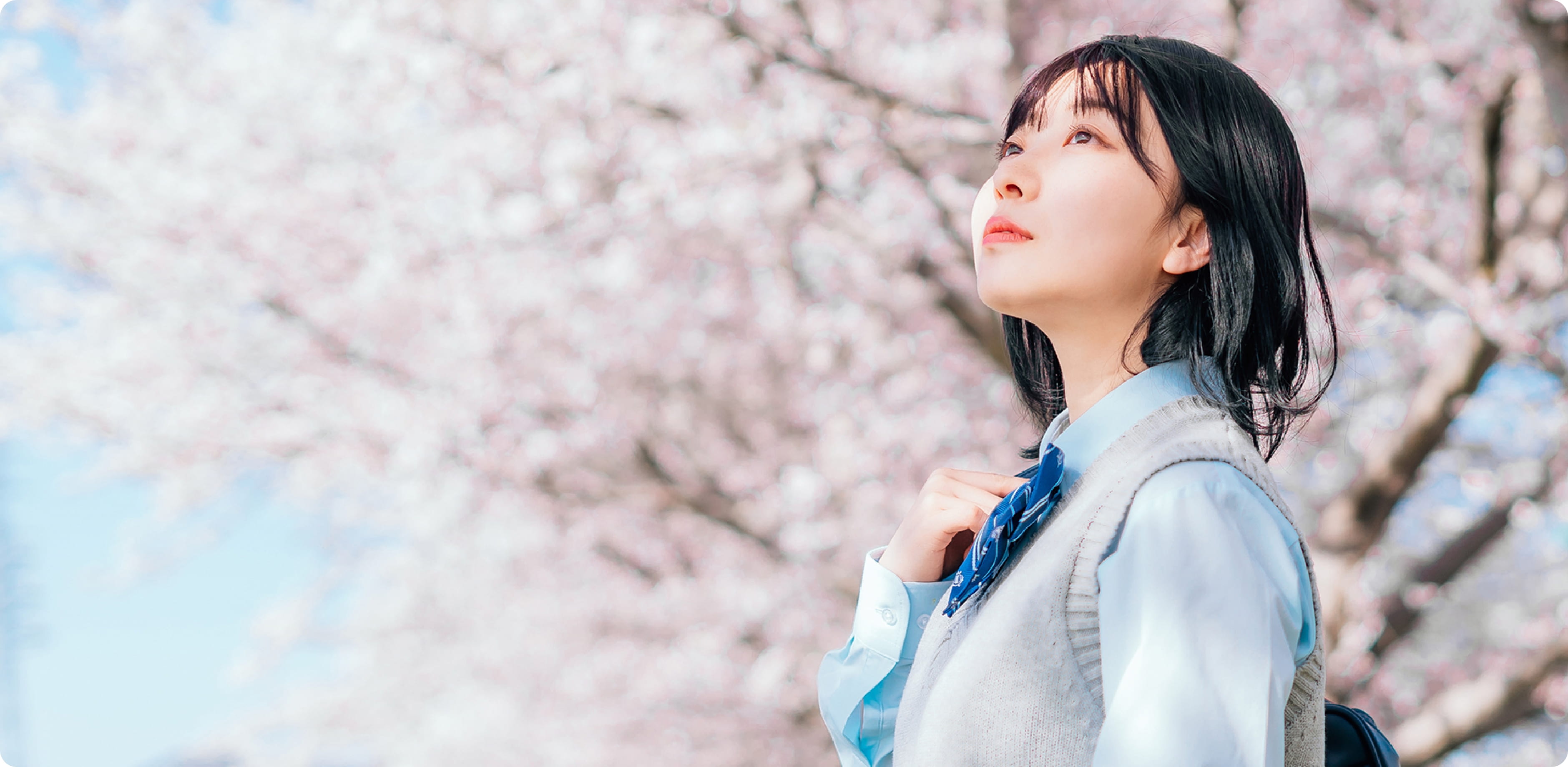 桜の木の前で空を見上げる女子学生