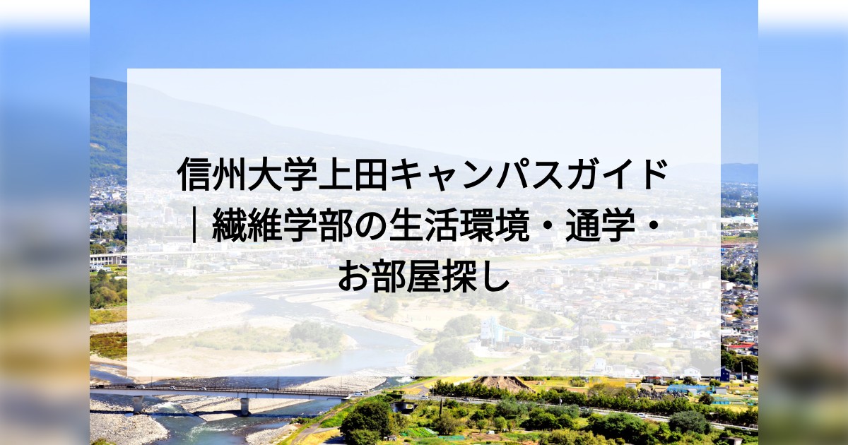 明るい木目調のダイニングキッチンと観葉植物のある室内